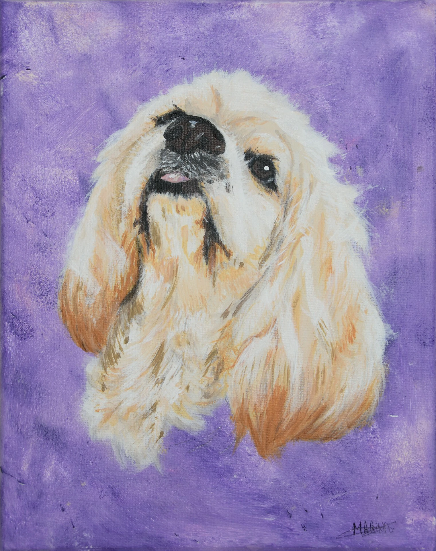Peinture Maïanna 24x30cm • Commande privée • Mars 2026 Peinture acrylique d'un Cocker anglais blanc et crème regardant vers le haut, sur un fond violet éclaboussé