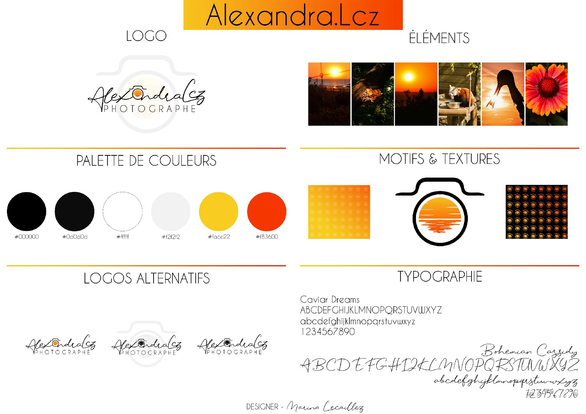 Charte Graphique Alexandra.Lcz Planche de marque de la photographe Alexandra Lcz avec logo, palette de couleurs chaudes et typographie